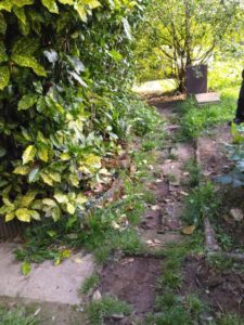 Aménagement d'une allée