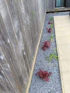 Aménagement de massif